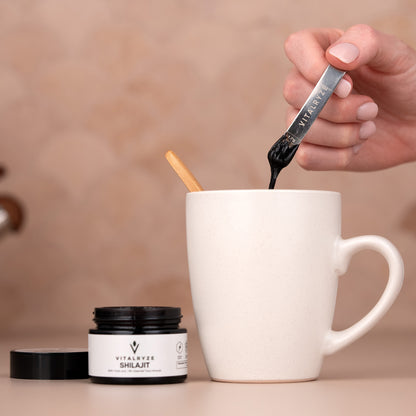 Himalayan Shilajit Resin - VITALRYZE