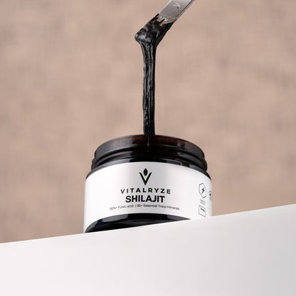 Himalayan Shilajit Resin - VITALRYZE